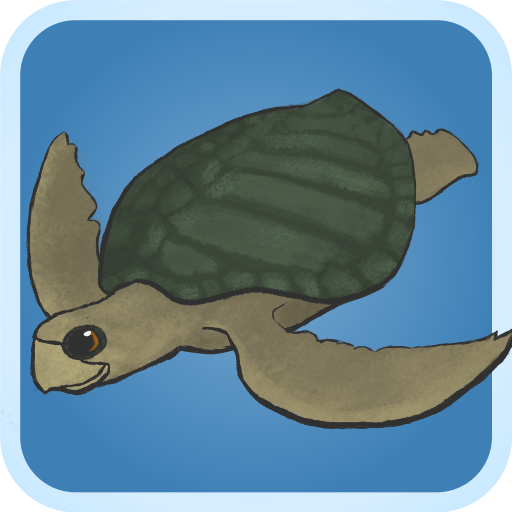 Save My Turtle Icon